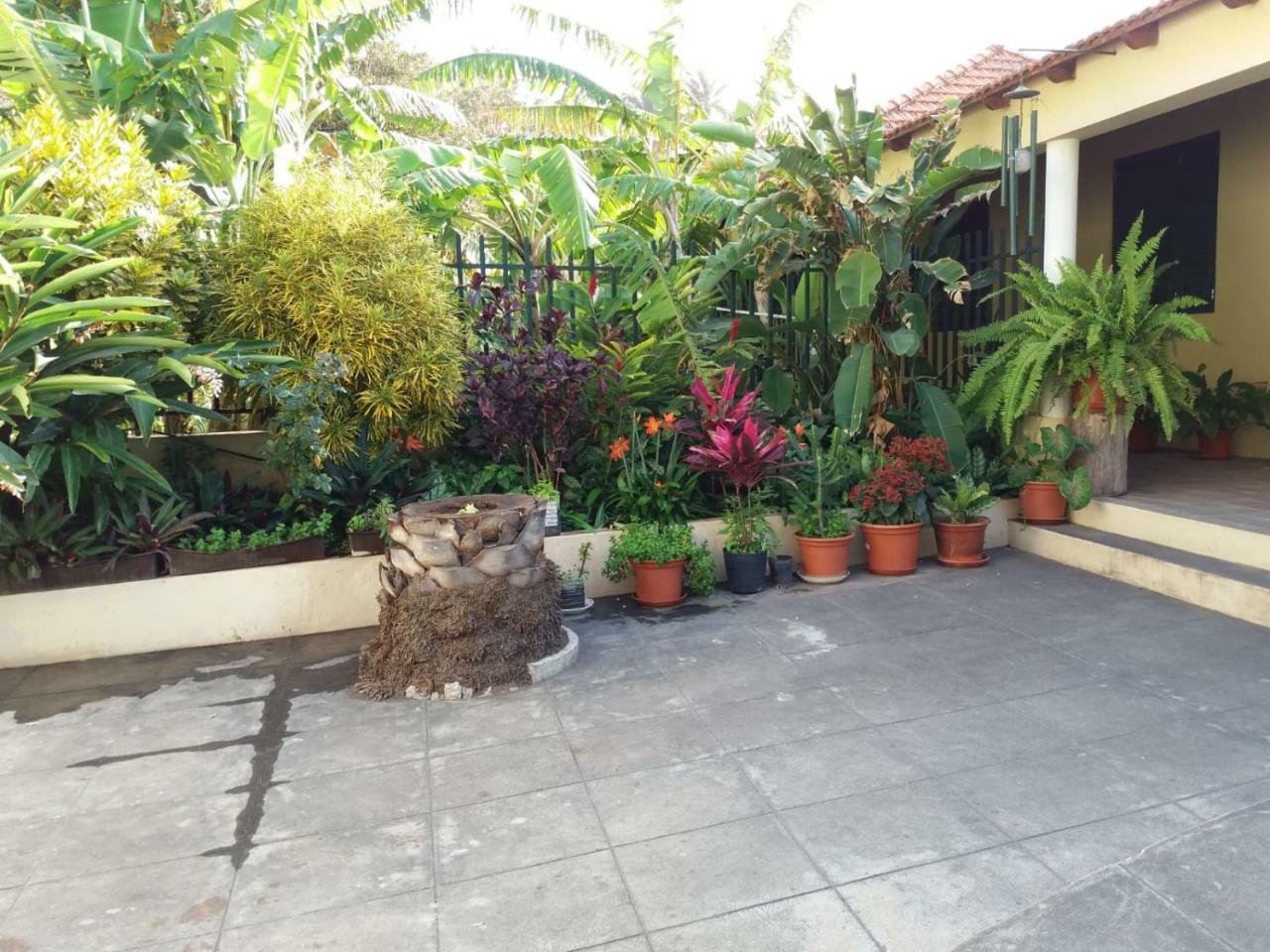 Ribeira Grande Country House Cha de Arroz Exterior photo